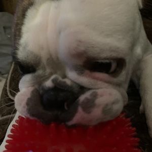 Meet your Posher, Daniela